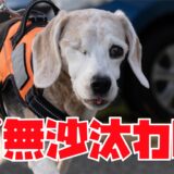 ご無沙汰しております！